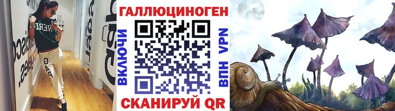darknet наркотические препараты  Отрадный  Псилоцибиновые грибы Psilocybe 
